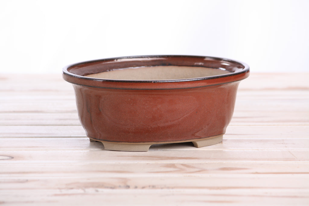 Willow Bonsai Ceramics Fat Bonsai Pot 7.5 Inch – Bold Oval Ceramic Bonsai & Succulent Planter with Accentuated Rim, High‑Fired Frost‑Proof Stoneware, Handmade in USA (Sunset)