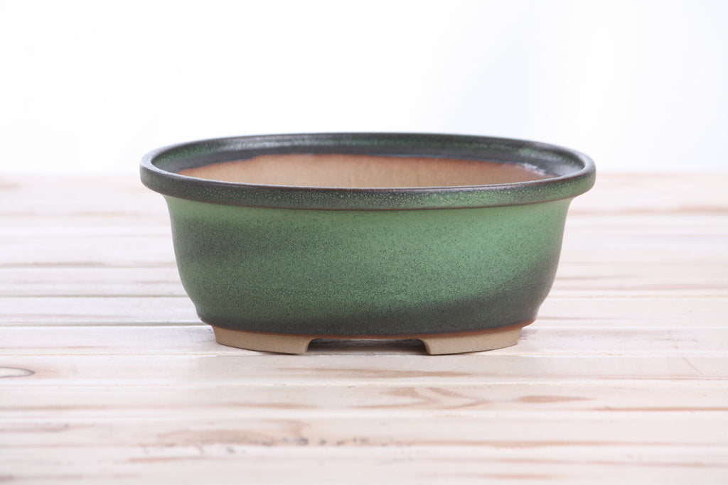 Willow Bonsai Ceramics Fat Bonsai Pot 7.5 Inch – Bold Oval Ceramic Bonsai & Succulent Planter with Accentuated Rim, High‑Fired Frost‑Proof Stoneware, Handmade in USA (Avocado)