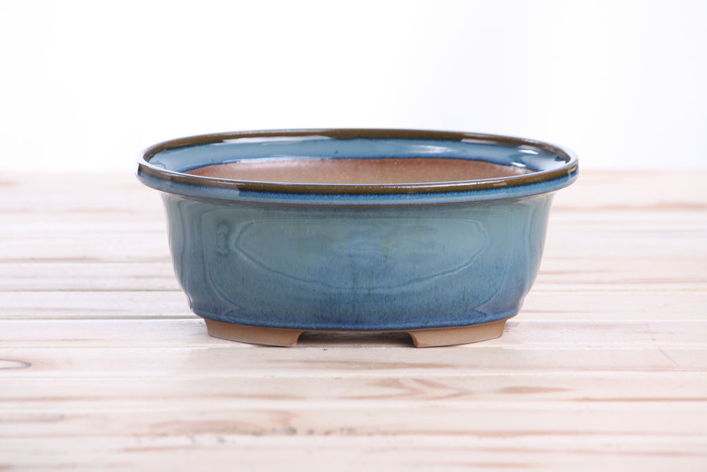 Willow Bonsai Ceramics Fat Bonsai Pot 7.5 Inch – Bold Oval Ceramic Bonsai & Succulent Planter with Accentuated Rim, High‑Fired Frost‑Proof Stoneware, Handmade in USA (Peacock 2025)
