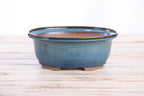 Willow Bonsai Ceramics Fat Bonsai Pot 7.5 Inch – Bold Oval Ceramic Bonsai & Succulent Planter with Accentuated Rim, High‑Fired Frost‑Proof Stoneware, Handmade in USA (Peacock 2025)