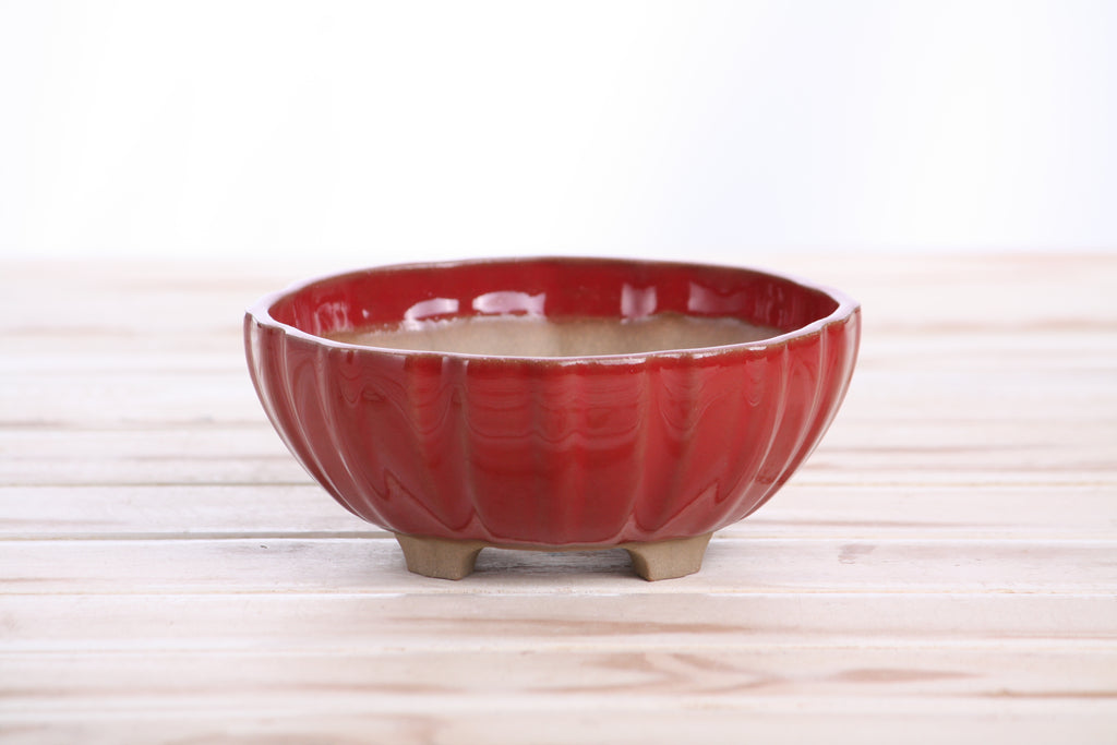 Willow Bonsai Ceramics Lily Bonsai Pot 5.5 Inch – Sculpted Rounded Ceramic Bonsai & Succulent Planter with Wavy Profile, High‑Fired Frost‑Proof Stoneware, Handmade in USA (Red)