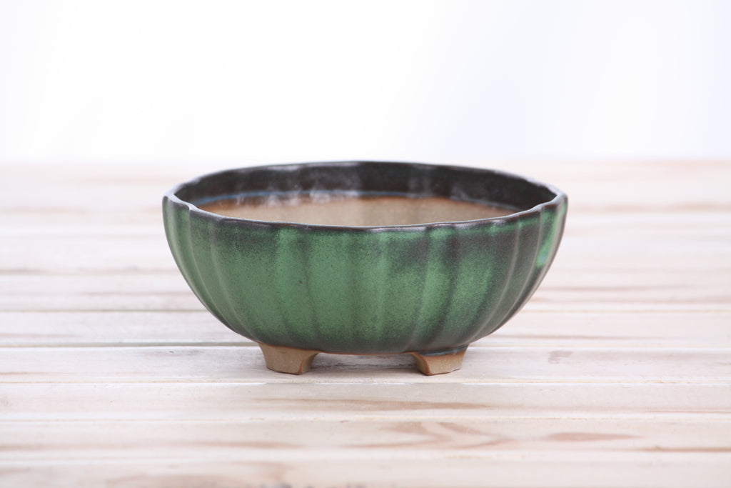 Willow Bonsai Ceramics Lily Bonsai Pot 5.5 Inch – Sculpted Rounded Ceramic Bonsai & Succulent Planter with Wavy Profile, High‑Fired Frost‑Proof Stoneware, Handmade in USA (Avocado)