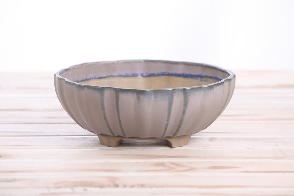 Willow Bonsai Ceramics Lily Bonsai Pot 7 Inch – Sculpted Rounded Ceramic Bonsai & Succulent Planter with Wavy Profile, High‑Fired Frost‑Proof Stoneware, Handmade in USA (Ocean)