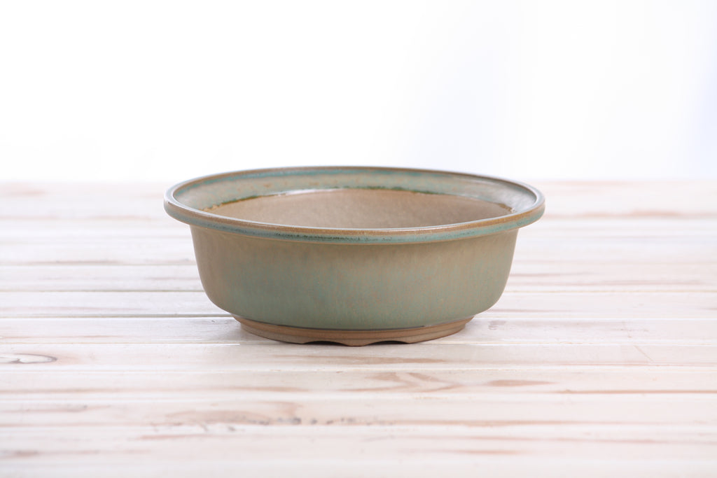 Willow Bonsai Ceramics Round Bonsai Pot 7 Inch – Round Ceramic Bonsai & Succulent Planter with Accentuated Rim and Sculpted Foot Ring, High‑Fired Frost‑Proof Stoneware, Handmade in USA (Speckled Moss)