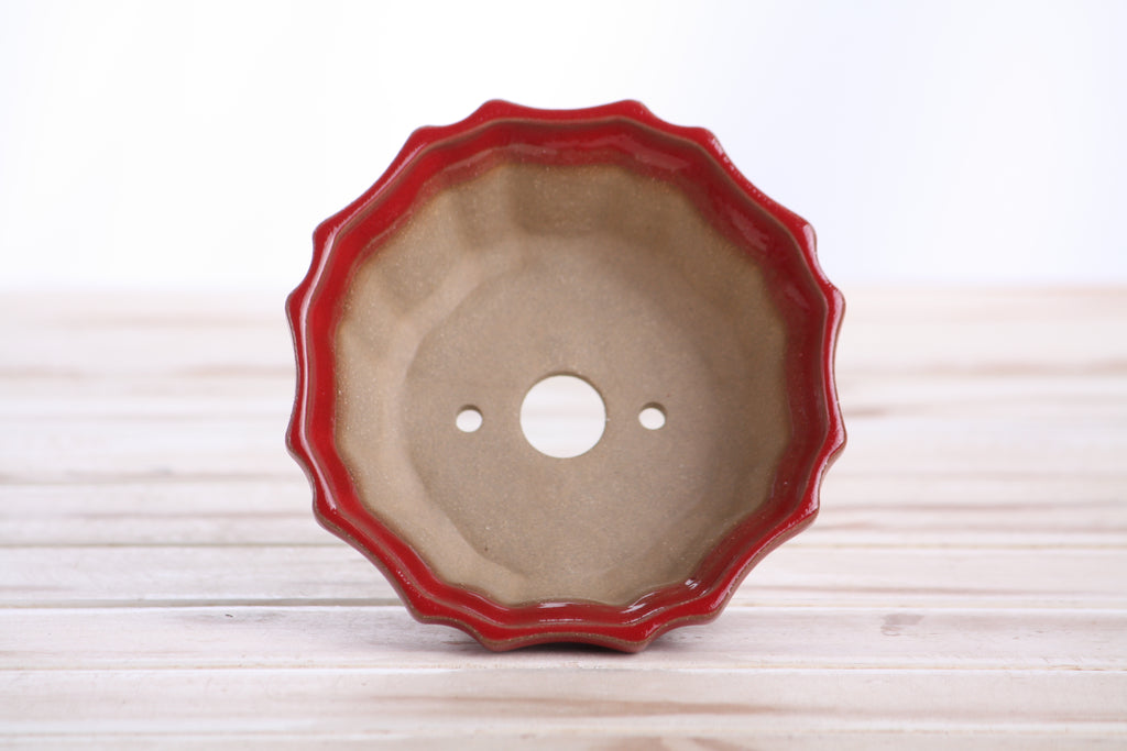 Willow Bonsai Ceramics Flower Design Bonsai Pot 4.5 Inch – Elegant Ceramic Bonsai & Succulent Planter, High‑Fired Frost‑Proof Stoneware with Drainage & Wiring Holes, Handmade in USA (Red)