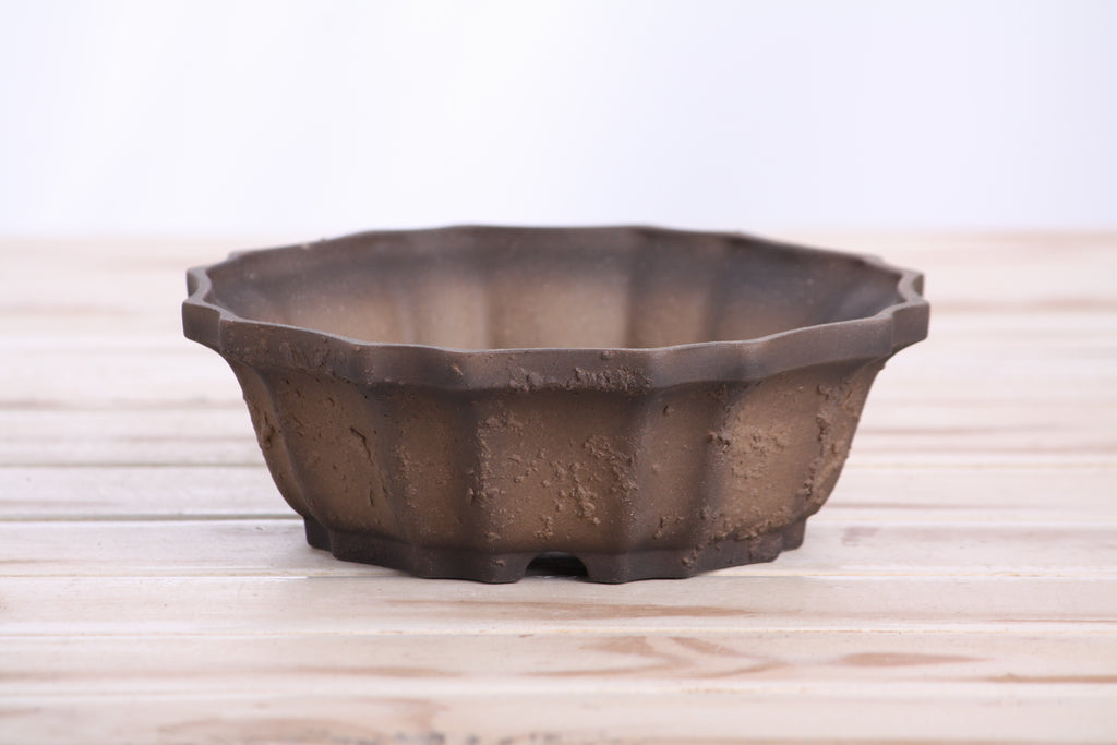Willow Bonsai Ceramics Flower Design Bonsai Pot 6.5 Inch – Elegant Ceramic Bonsai & Succulent Planter, High‑Fired Frost‑Proof Stoneware with Drainage & Wiring Holes, Handmade in USA (Limited Edition Textured Unglazed 6.5 inch)