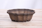 Willow Bonsai Ceramics Flower Design Bonsai Pot 6.5 Inch – Elegant Ceramic Bonsai & Succulent Planter, High‑Fired Frost‑Proof Stoneware with Drainage & Wiring Holes, Handmade in USA (Limited Edition Textured Unglazed 6.5 inch)