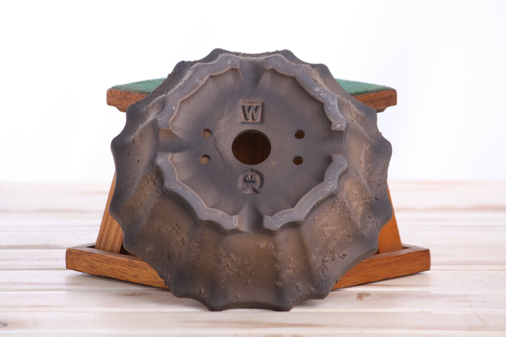 Willow Bonsai Ceramics Flower Design Bonsai Pot 6.5 Inch – Elegant Ceramic Bonsai & Succulent Planter, High‑Fired Frost‑Proof Stoneware with Drainage & Wiring Holes, Handmade in USA (Limited Edition Textured Unglazed 6.5 inch)