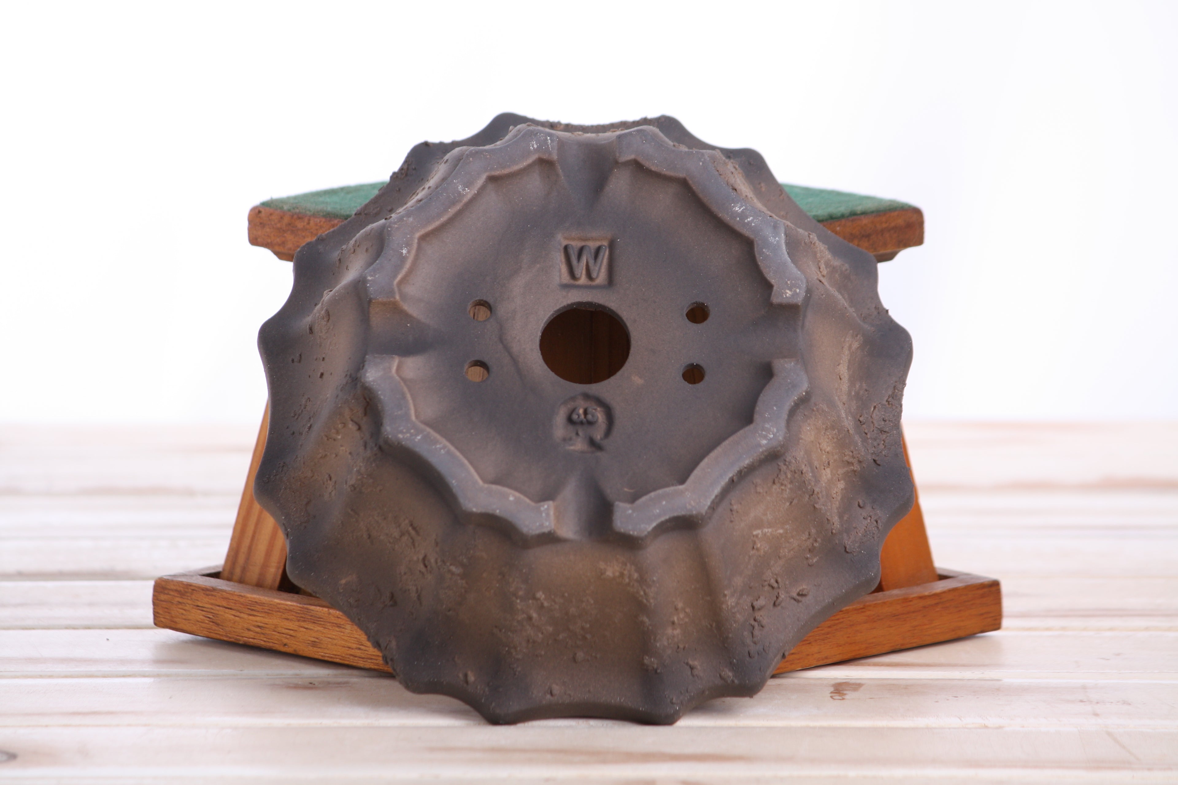 Willow Bonsai Ceramics Flower Design Bonsai Pot 6.5 Inch – Elegant Ceramic Bonsai & Succulent Planter, High‑Fired Frost‑Proof Stoneware with Drainage & Wiring Holes, Handmade in USA (Limited Edition Textured Unglazed 6.5 inch)