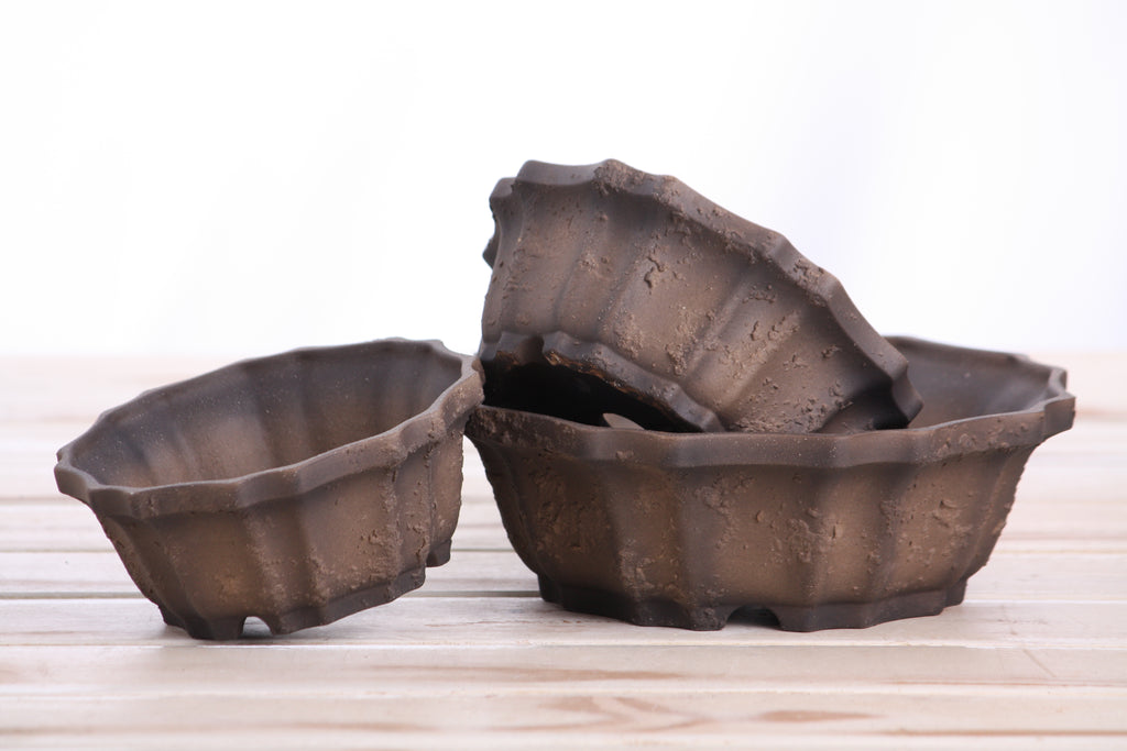 Willow Bonsai Ceramics Flower Design Bonsai Pot 6.5 Inch – Elegant Ceramic Bonsai & Succulent Planter, High‑Fired Frost‑Proof Stoneware with Drainage & Wiring Holes, Handmade in USA (Limited Edition Textured Unglazed 6.5 inch)