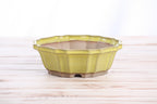Willow Bonsai Ceramics Flower Design Bonsai Pot 6.5 Inch – Elegant Ceramic Bonsai & Succulent Planter, High‑Fired Frost‑Proof Stoneware with Drainage & Wiring Holes, Handmade in USA (Yellow)