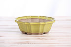 Willow Bonsai Ceramics Flower Design Bonsai Pot 6.5 Inch – Elegant Ceramic Bonsai & Succulent Planter, High‑Fired Frost‑Proof Stoneware with Drainage & Wiring Holes, Handmade in USA (Yellow)