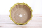 Willow Bonsai Ceramics Flower Design Bonsai Pot 6.5 Inch – Elegant Ceramic Bonsai & Succulent Planter, High‑Fired Frost‑Proof Stoneware with Drainage & Wiring Holes, Handmade in USA (Yellow)