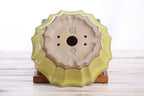 Willow Bonsai Ceramics Flower Design Bonsai Pot 6.5 Inch – Elegant Ceramic Bonsai & Succulent Planter, High‑Fired Frost‑Proof Stoneware with Drainage & Wiring Holes, Handmade in USA (Yellow)
