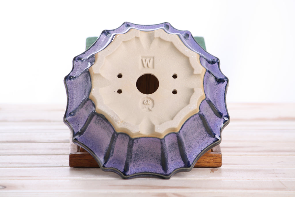 Willow Bonsai Ceramics Flower Design Bonsai Pot 6.5 Inch – Elegant Ceramic Bonsai & Succulent Planter, High‑Fired Frost‑Proof Stoneware with Drainage & Wiring Holes, Handmade in USA (Purple)