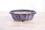 Willow Bonsai Ceramics Flower Design Bonsai Pot 8 Inch – Elegant Ceramic Bonsai & Succulent Planter, High‑Fired Frost‑Proof Stoneware with Drainage & Wiring Holes, Handmade in USA (Purple)