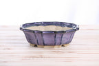 Willow Bonsai Ceramics Flower Design Bonsai Pot 8 Inch – Elegant Ceramic Bonsai & Succulent Planter, High‑Fired Frost‑Proof Stoneware with Drainage & Wiring Holes, Handmade in USA (Purple)