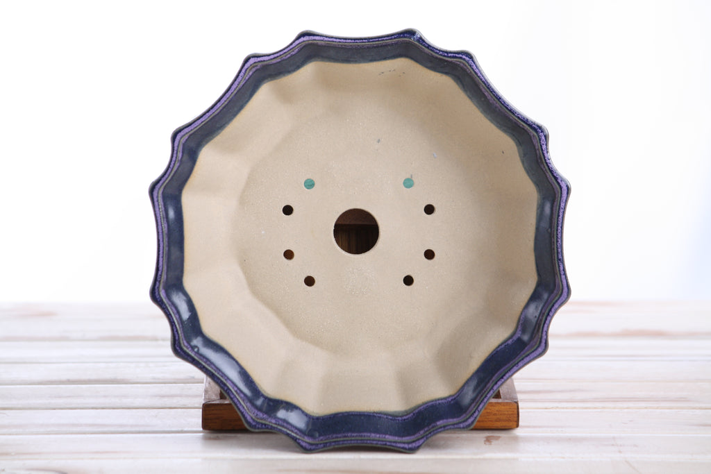 Willow Bonsai Ceramics Flower Design Bonsai Pot 8 Inch – Elegant Ceramic Bonsai & Succulent Planter, High‑Fired Frost‑Proof Stoneware with Drainage & Wiring Holes, Handmade in USA (Purple)