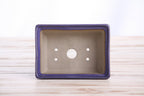 Willow Bonsai Ceramics Rectangle Deep Bonsai Pot 5 Inch – Higher‑Profile Rectangular Ceramic Bonsai & Succulent Planter with Accentuated Rim, High‑Fired Frost‑Proof Stoneware, Handmade in USA (Purple)