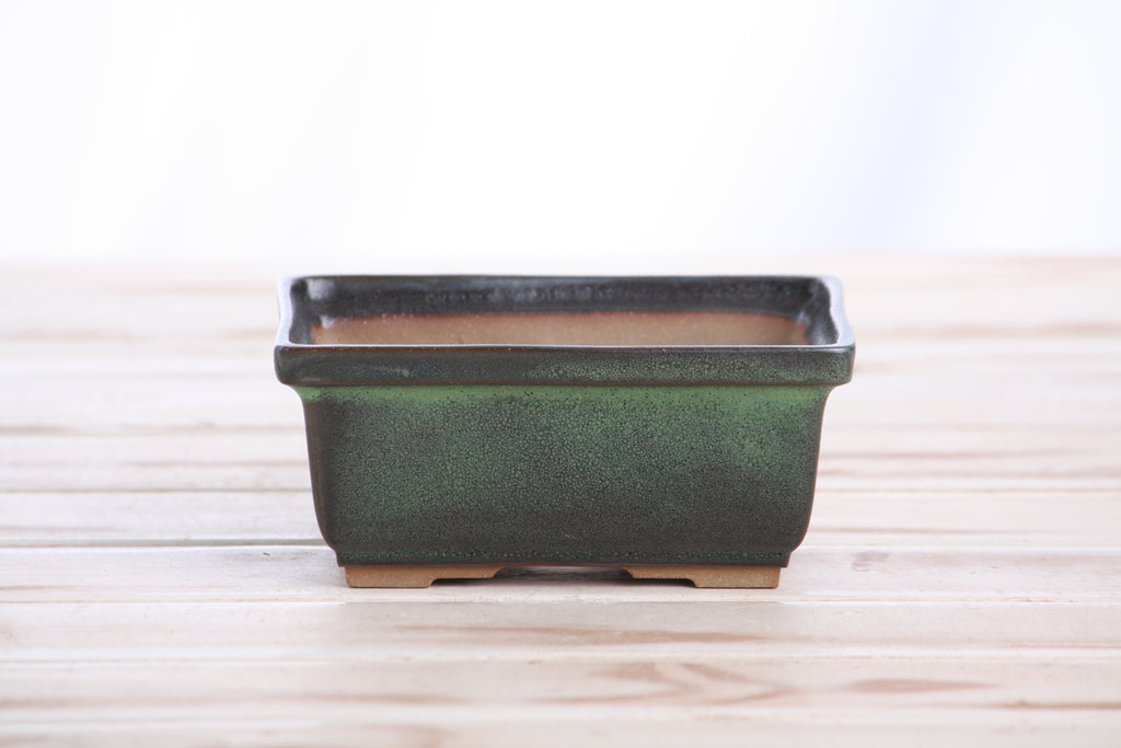Willow Bonsai Ceramics Rectangle Deep Bonsai Pot 5 Inch – Higher‑Profile Rectangular Ceramic Bonsai & Succulent Planter with Accentuated Rim, High‑Fired Frost‑Proof Stoneware, Handmade in USA (Avocado)