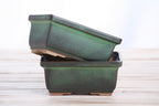 Willow Bonsai Ceramics Rectangle Deep Bonsai Pot 5 Inch – Higher‑Profile Rectangular Ceramic Bonsai & Succulent Planter with Accentuated Rim, High‑Fired Frost‑Proof Stoneware, Handmade in USA (Avocado)