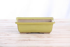 Willow Bonsai Ceramics Rectangle Bonsai Pot 8 Inch – Lower‑Profile Rectangular Ceramic Bonsai & Succulent Planter with Accentuated Rim, High‑Fired Frost‑Proof Stoneware, Handmade in USA (Yellow)