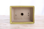 Willow Bonsai Ceramics Rectangle Bonsai Pot 8 Inch – Lower‑Profile Rectangular Ceramic Bonsai & Succulent Planter with Accentuated Rim, High‑Fired Frost‑Proof Stoneware, Handmade in USA (Yellow)