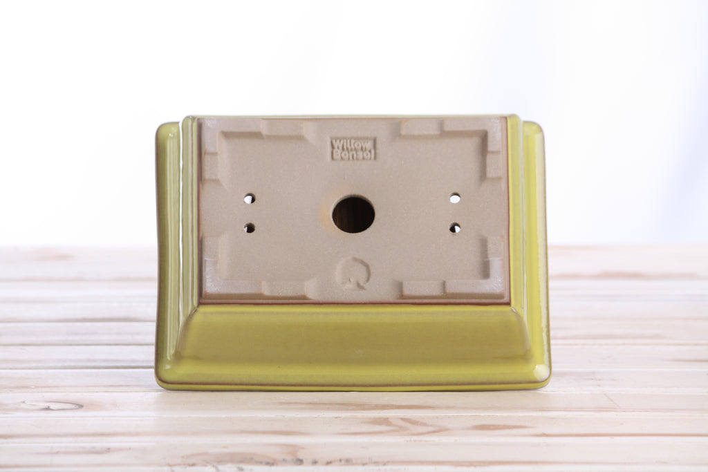 Willow Bonsai Ceramics Rectangle Bonsai Pot 8 Inch – Lower‑Profile Rectangular Ceramic Bonsai & Succulent Planter with Accentuated Rim, High‑Fired Frost‑Proof Stoneware, Handmade in USA (Yellow)