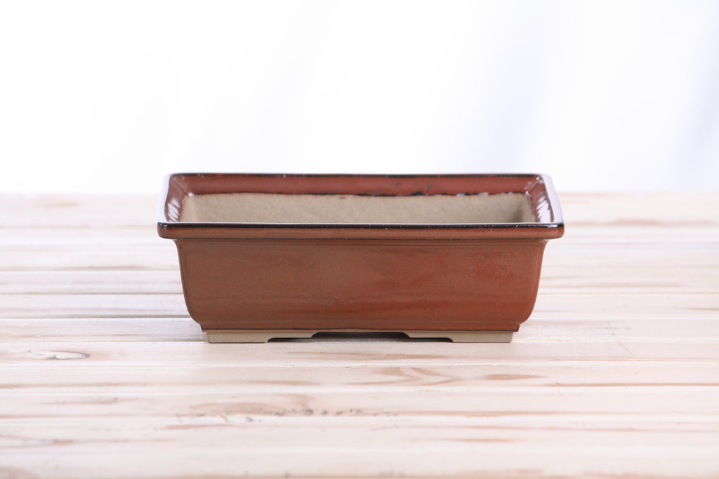 Willow Bonsai Ceramics Rectangle Bonsai Pot 8 Inch – Lower‑Profile Rectangular Ceramic Bonsai & Succulent Planter with Accentuated Rim, High‑Fired Frost‑Proof Stoneware, Handmade in USA (Sunset)