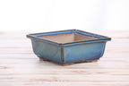 Willow Bonsai Ceramics Square Bonsai Pot 5.5 Inch – Low‑Profile Square Ceramic Bonsai & Succulent Planter with Accentuated Rim, High‑Fired Frost‑Proof Stoneware, Handmade in USA (Peacock 2025)