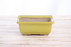 Willow Bonsai Ceramics Square Bonsai Pot 5.5 Inch – Low‑Profile Square Ceramic Bonsai & Succulent Planter with Accentuated Rim, High‑Fired Frost‑Proof Stoneware, Handmade in USA (Yellow)