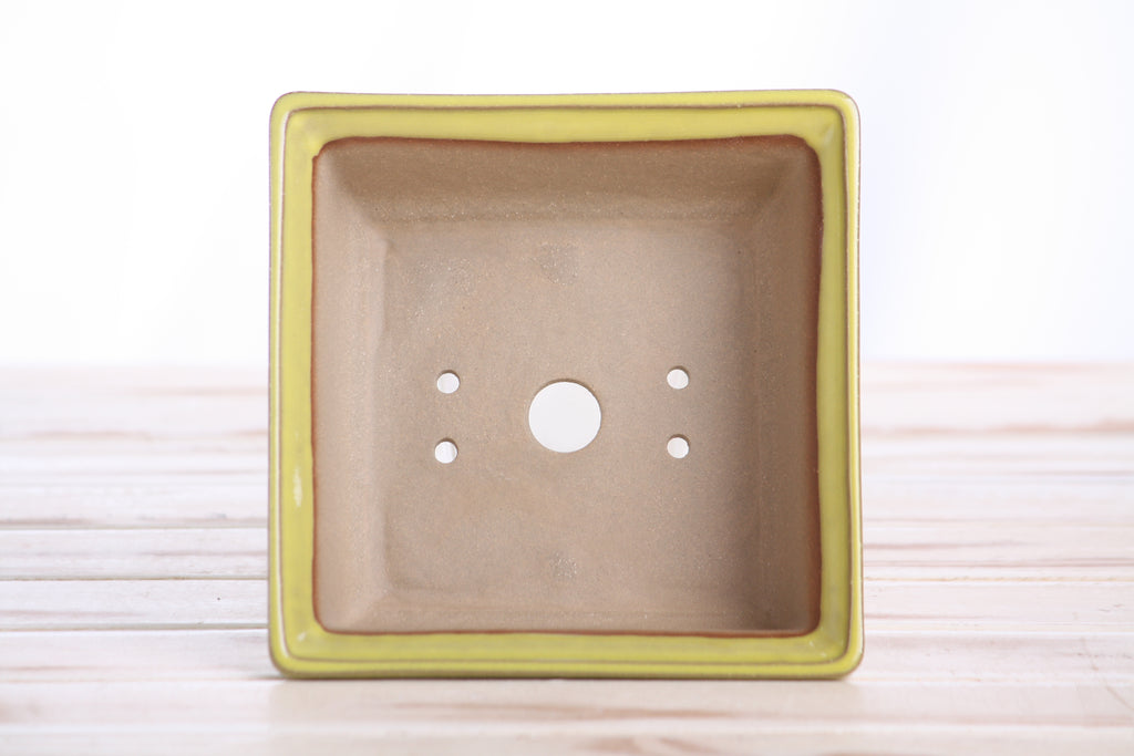 Willow Bonsai Ceramics Square Bonsai Pot 5.5 Inch – Low‑Profile Square Ceramic Bonsai & Succulent Planter with Accentuated Rim, High‑Fired Frost‑Proof Stoneware, Handmade in USA (Yellow)
