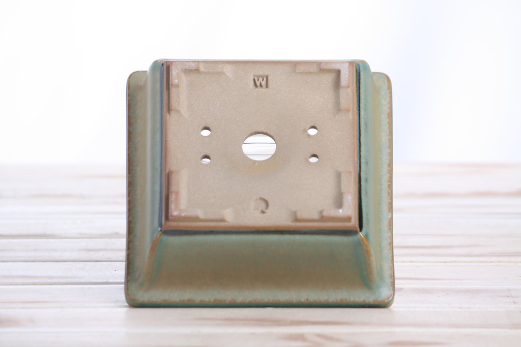 Willow Bonsai Ceramics Square Bonsai Pot 5.5 Inch – Low‑Profile Square Ceramic Bonsai & Succulent Planter with Accentuated Rim, High‑Fired Frost‑Proof Stoneware, Handmade in USA (Speckled Moss)