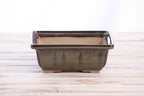Willow Bonsai Ceramics Square Bonsai Pot 6 Inch – Low‑Profile Square Ceramic Bonsai & Succulent Planter with Accentuated Rim, High‑Fired Frost‑Proof Stoneware, Handmade in USA (Dark Honey)