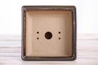 Willow Bonsai Ceramics Square Bonsai Pot 6 Inch – Low‑Profile Square Ceramic Bonsai & Succulent Planter with Accentuated Rim, High‑Fired Frost‑Proof Stoneware, Handmade in USA (Dark Honey)