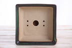 Willow Bonsai Ceramics Square Bonsai Pot 6 Inch – Low‑Profile Square Ceramic Bonsai & Succulent Planter with Accentuated Rim, High‑Fired Frost‑Proof Stoneware, Handmade in USA (Avocado)