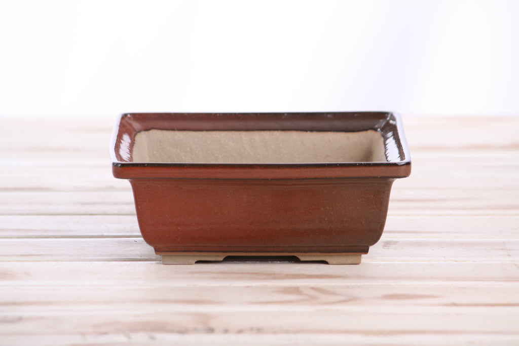 Willow Bonsai Ceramics Square Bonsai Pot 6 Inch – Low‑Profile Square Ceramic Bonsai & Succulent Planter with Accentuated Rim, High‑Fired Frost‑Proof Stoneware, Handmade in USA (Sunset)
