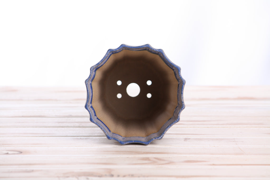 Willow Bonsai Ceramics Flower Design Cascade Bonsai Pot 5 Inch – Elegant Tall Ceramic Bonsai & Succulent Planter, High‑Fired Frost‑Proof Stoneware with Drainage & Wiring Holes, Handmade in USA (Ocean)