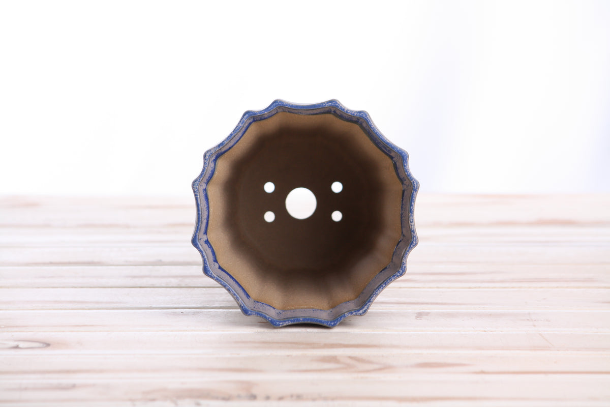 Willow Bonsai Ceramics Flower Design Cascade Bonsai Pot 5 Inch – Elegant Tall Ceramic Bonsai & Succulent Planter, High‑Fired Frost‑Proof Stoneware with Drainage & Wiring Holes, Handmade in USA (Ocean)