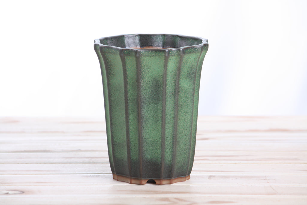 Willow Bonsai Ceramics Flower Design Cascade Bonsai Pot 5 Inch – Elegant Tall Ceramic Bonsai & Succulent Planter, High‑Fired Frost‑Proof Stoneware with Drainage & Wiring Holes, Handmade in USA (Avocado)