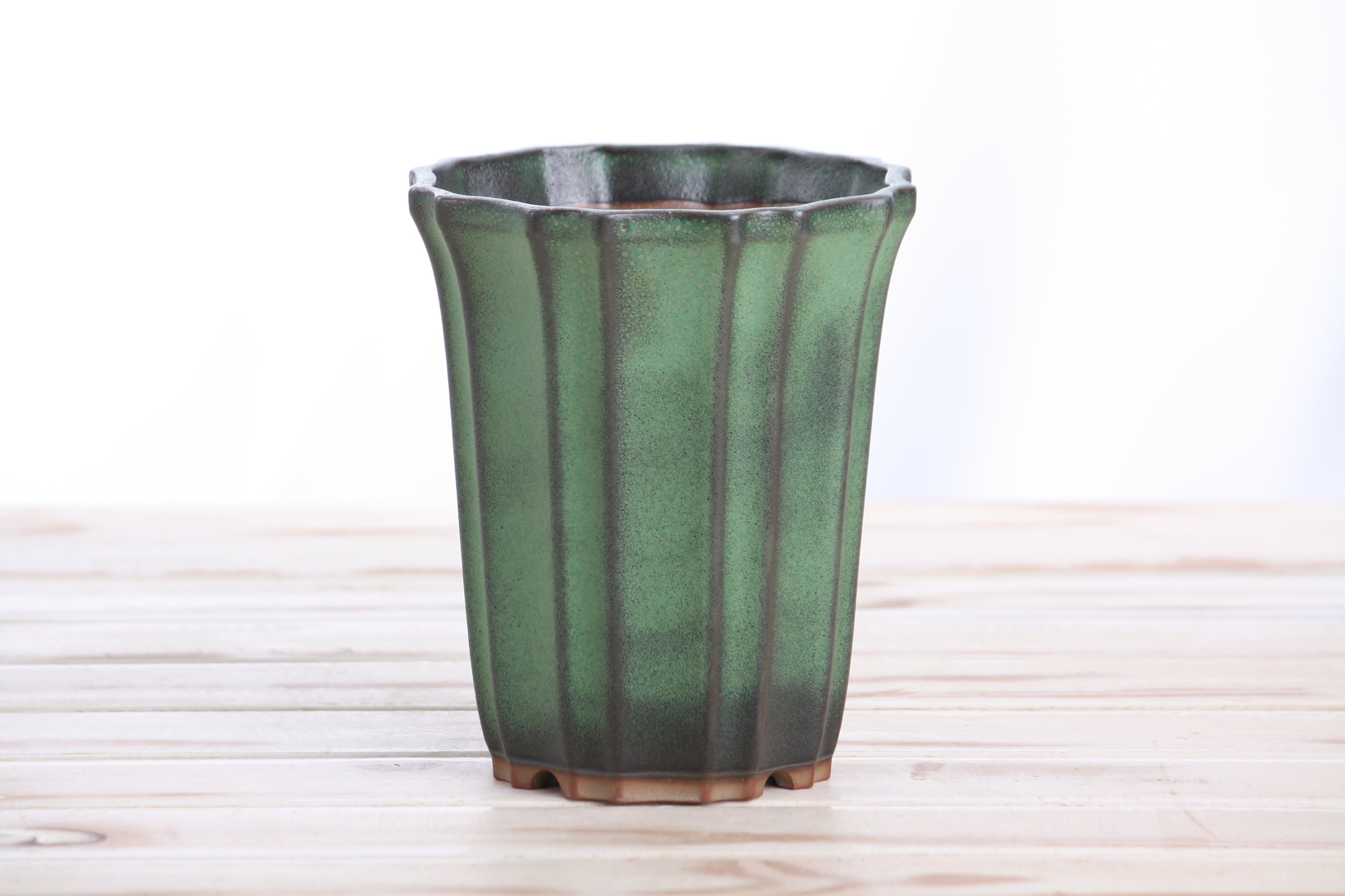 Willow Bonsai Ceramics Flower Design Cascade Bonsai Pot 5 Inch – Elegant Tall Ceramic Bonsai & Succulent Planter, High‑Fired Frost‑Proof Stoneware with Drainage & Wiring Holes, Handmade in USA (Avocado)
