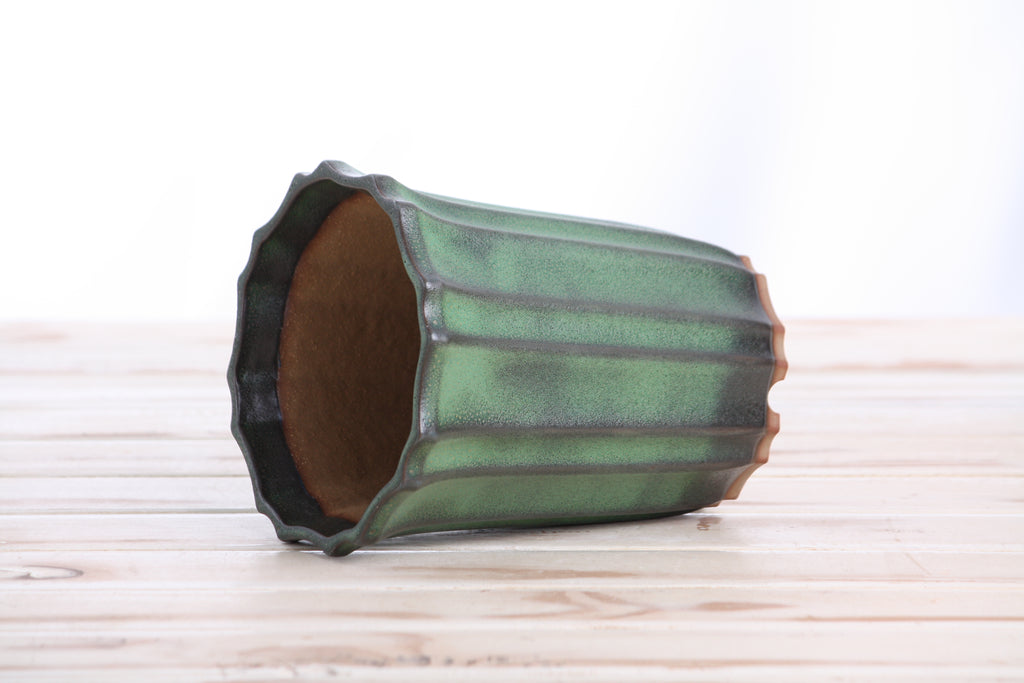 Willow Bonsai Ceramics Flower Design Cascade Bonsai Pot 5 Inch – Elegant Tall Ceramic Bonsai & Succulent Planter, High‑Fired Frost‑Proof Stoneware with Drainage & Wiring Holes, Handmade in USA (Avocado)