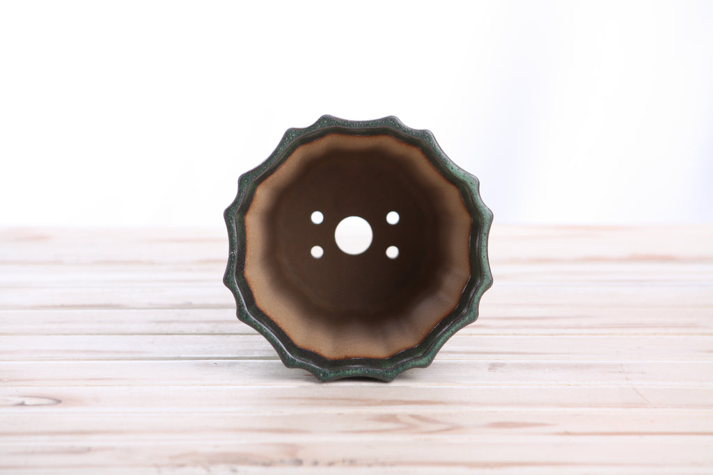 Willow Bonsai Ceramics Flower Design Cascade Bonsai Pot 5 Inch – Elegant Tall Ceramic Bonsai & Succulent Planter, High‑Fired Frost‑Proof Stoneware with Drainage & Wiring Holes, Handmade in USA (Avocado)