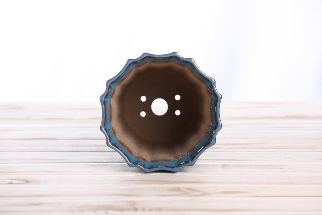 Willow Bonsai Ceramics Flower Design Cascade Bonsai Pot 5 Inch – Elegant Tall Ceramic Bonsai & Succulent Planter, High‑Fired Frost‑Proof Stoneware with Drainage & Wiring Holes, Handmade in USA (Peacock)