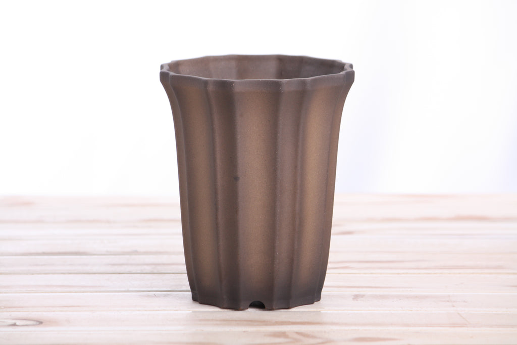 Willow Bonsai Ceramics Flower Design Cascade Bonsai Pot 5 Inch – Elegant Tall Ceramic Bonsai & Succulent Planter, High‑Fired Frost‑Proof Stoneware with Drainage & Wiring Holes, Handmade in USA (Shaded Unglazed)