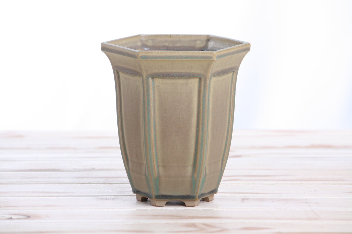 Willow Bonsai Ceramics Hexagonal Windowed Cascade Bonsai Pot 5 Inch – Tall Ceramic Cascade Planter, High‑Fired Frost‑Proof Stoneware with Drainage & Wiring Holes, Handmade in USA (Speckled Moss)
