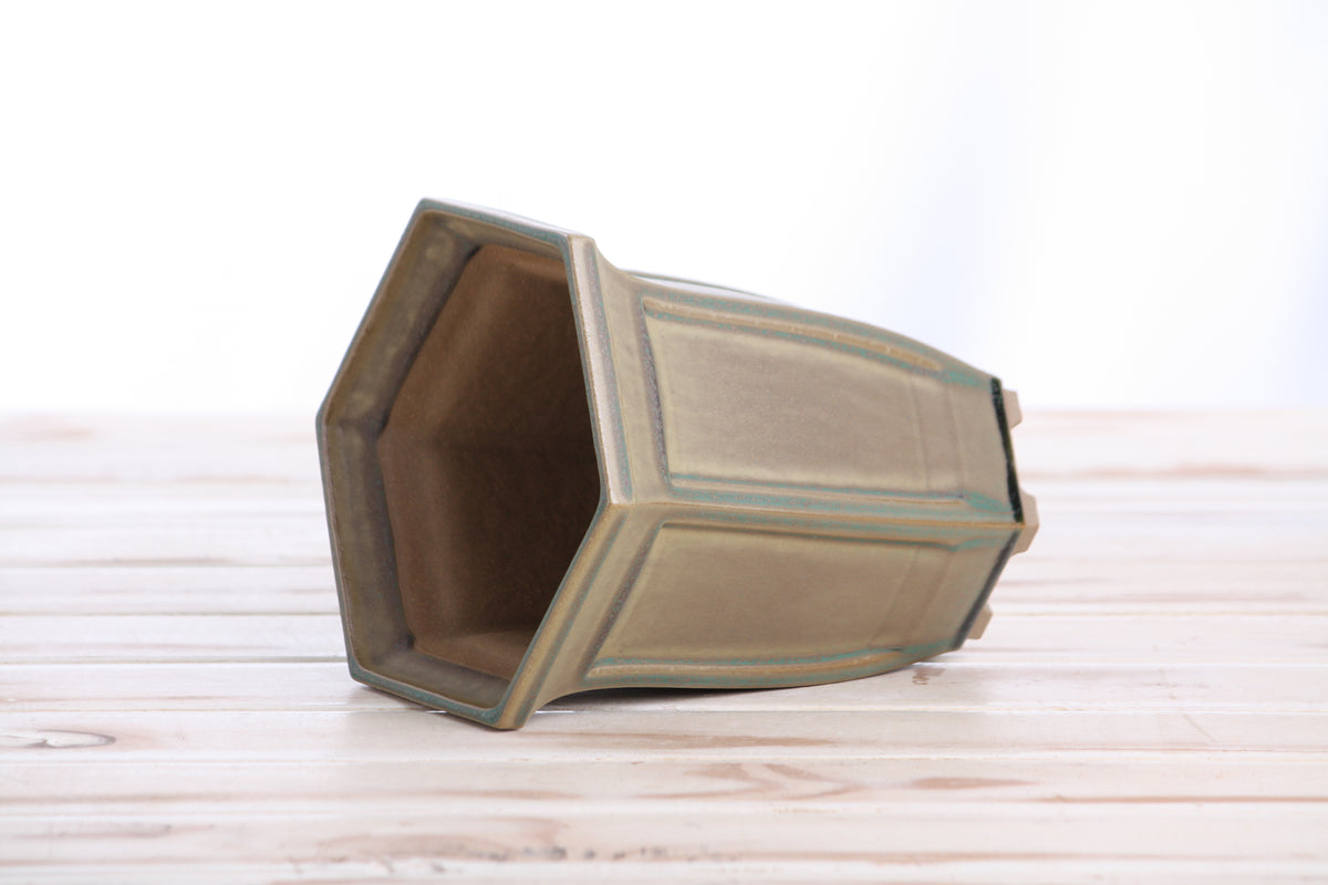 Willow Bonsai Ceramics Hexagonal Windowed Cascade Bonsai Pot 5 Inch – Tall Ceramic Cascade Planter, High‑Fired Frost‑Proof Stoneware with Drainage & Wiring Holes, Handmade in USA (Speckled Moss)