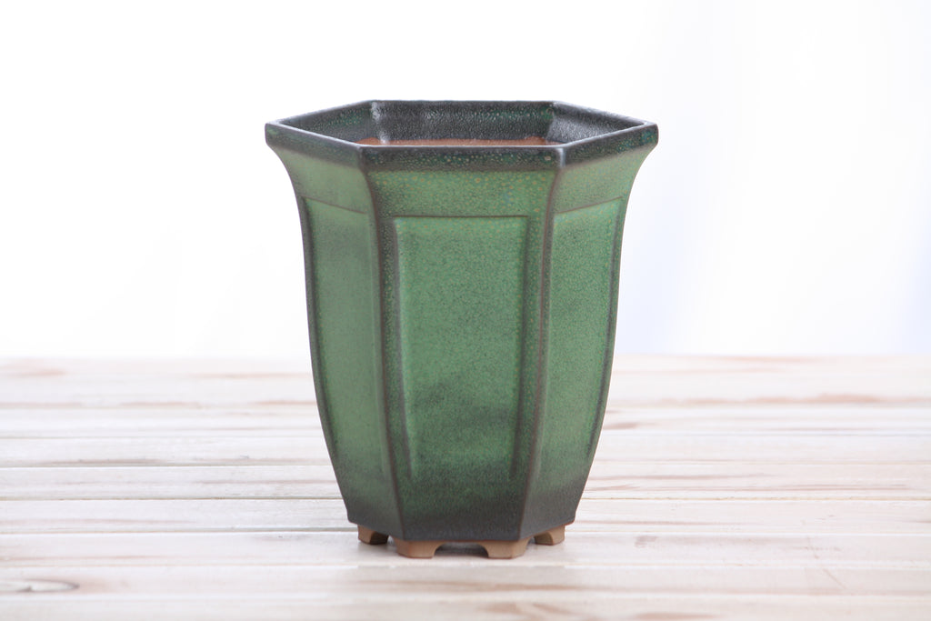 Willow Bonsai Ceramics Hexagonal Windowed Cascade Bonsai Pot 5 Inch – Tall Ceramic Cascade Planter, High‑Fired Frost‑Proof Stoneware with Drainage & Wiring Holes, Handmade in USA (Avocado)