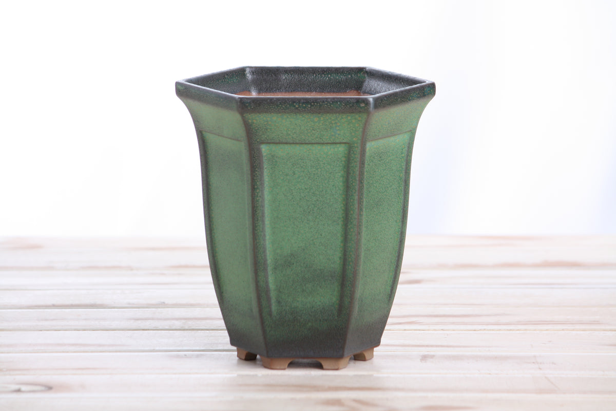 Willow Bonsai Ceramics Hexagonal Windowed Cascade Bonsai Pot 5 Inch – Tall Ceramic Cascade Planter, High‑Fired Frost‑Proof Stoneware with Drainage & Wiring Holes, Handmade in USA (Avocado)