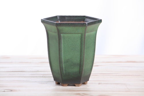 Willow Bonsai Ceramics Hexagonal Windowed Cascade Bonsai Pot 5 Inch – Tall Ceramic Cascade Planter, High‑Fired Frost‑Proof Stoneware with Drainage & Wiring Holes, Handmade in USA (Avocado)